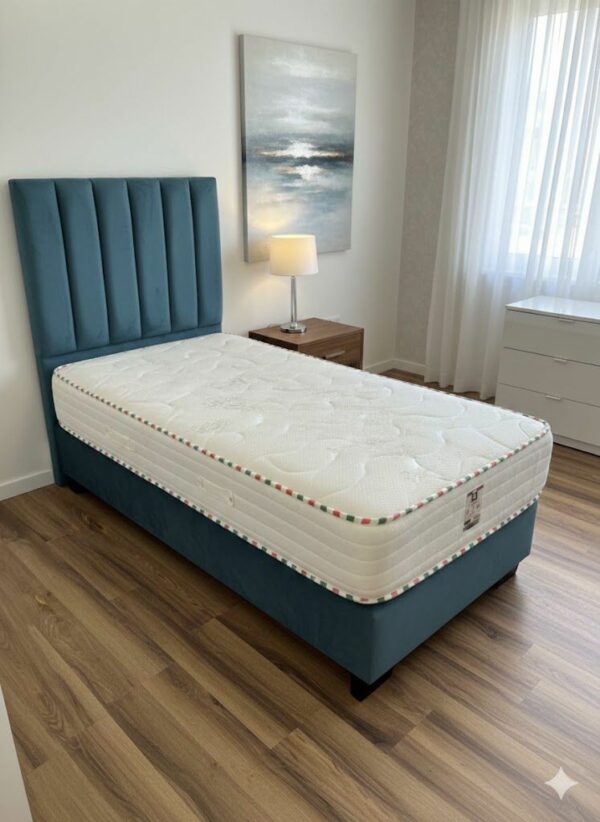 WhatsApp Image 2026-02-16 at 12.50.31