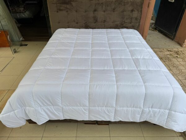 WhatsApp Image 2026-02-18 at 19.24.52