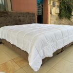 WhatsApp Image 2026-02-18 at 19.28.28